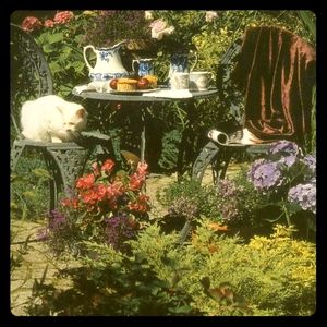 welcomeeeeeee 🖤 about me